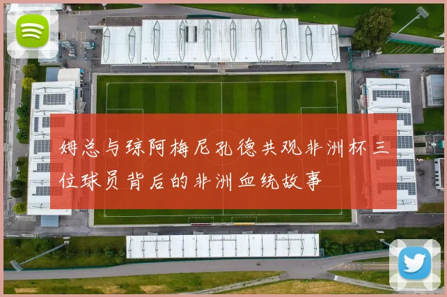姆总与琼阿梅尼孔德共观非洲杯三位球员背后的非洲血统故事