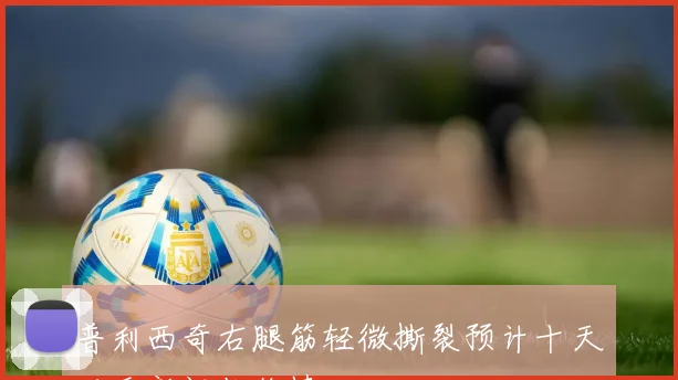普利西奇右腿筋轻微撕裂预计十天后重新评估伤情
